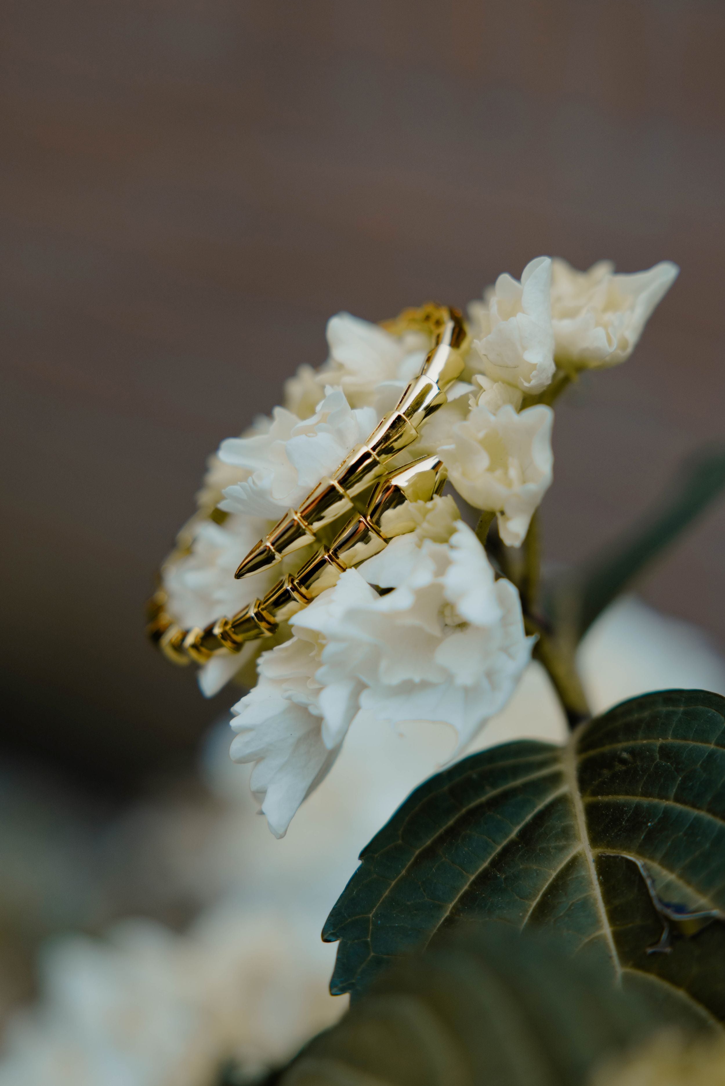 Soléa Viper Bracciale
